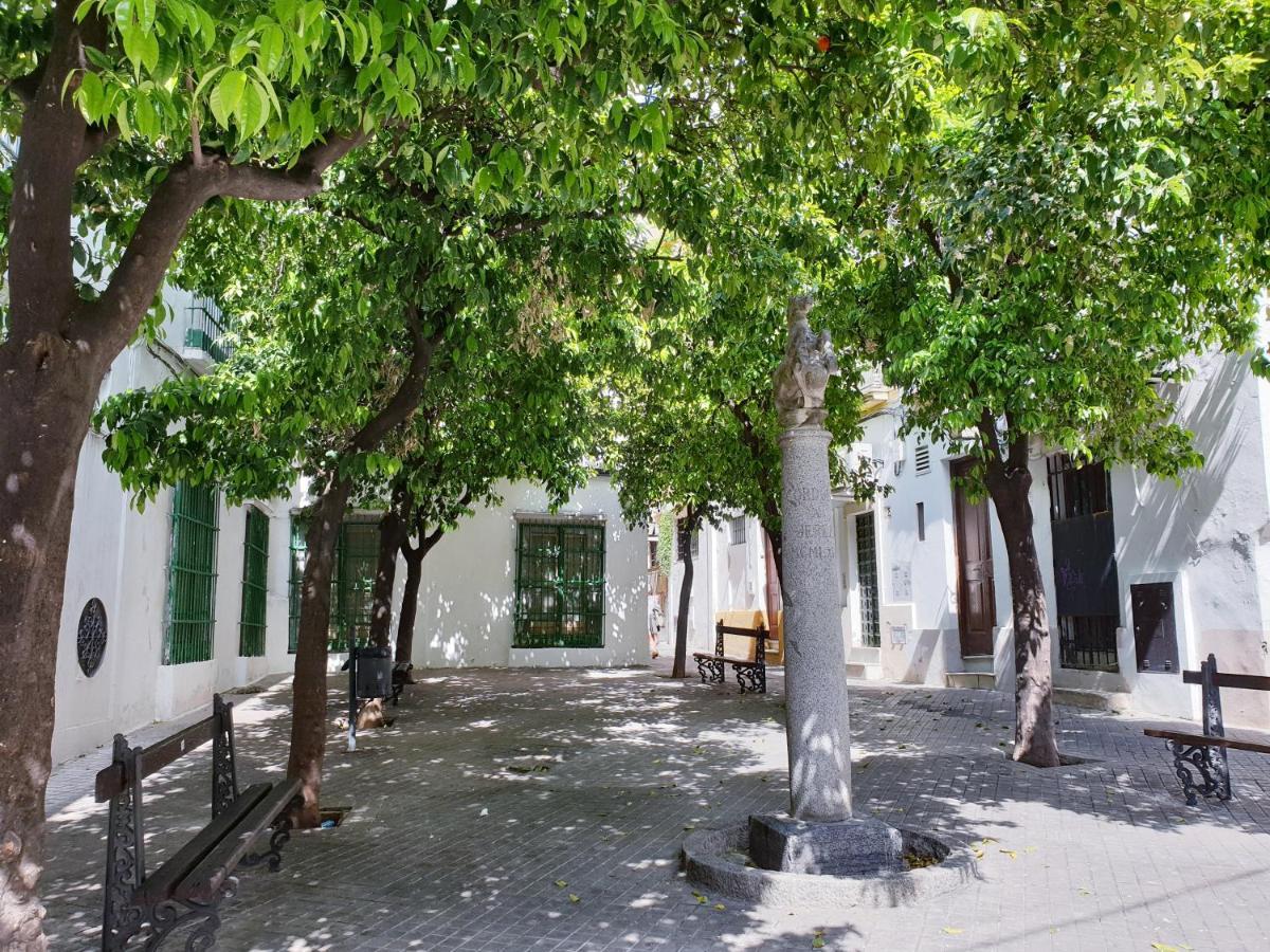 Sherryflat Plateros جيريز المظهر الخارجي الصورة